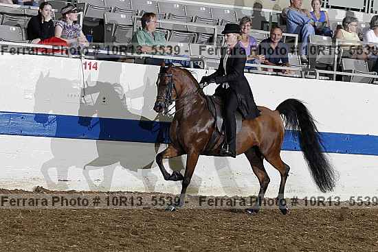 Proof Number 10r13_5539