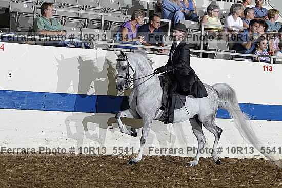 Proof Number 10r13_5541