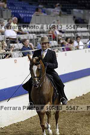 Proof Number 10r13_5547