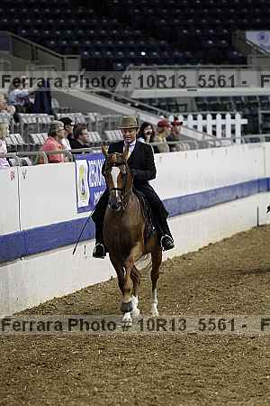 Proof Number 10r13_5561