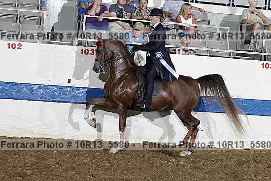 Proof Number 10r13_5580