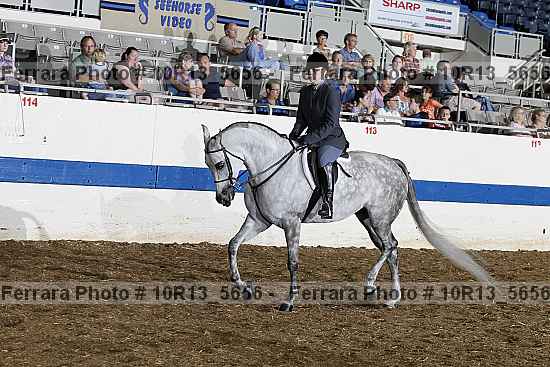 Proof Number 10r13_5656