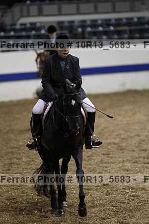 Proof Number 10r13_5683