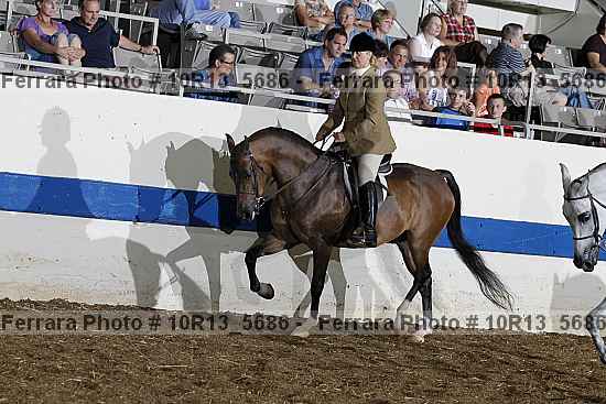 Proof Number 10r13_5686