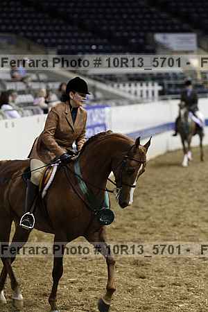 Proof Number 10r13_5701