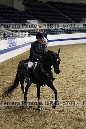 Proof Number 10r13_5708