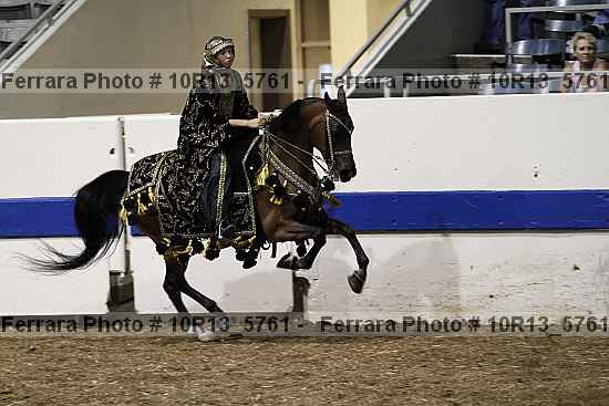Proof Number 10r13_5761