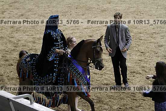 Proof Number 10r13_5766