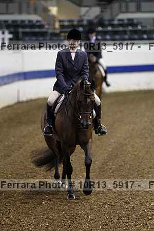 Proof Number 10r13_5917