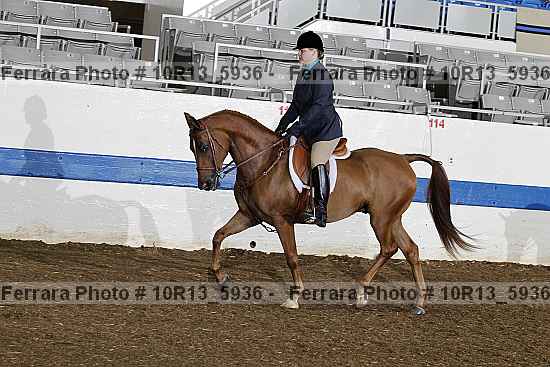Proof Number 10r13_5936