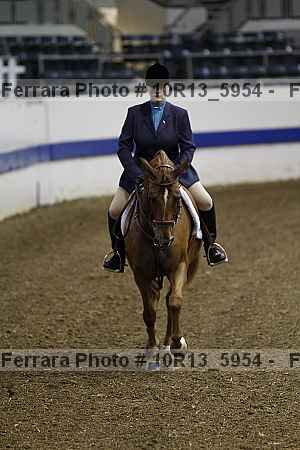 Proof Number 10r13_5954