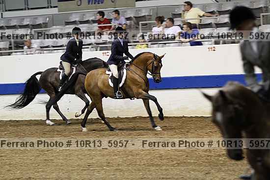 Proof Number 10r13_5957