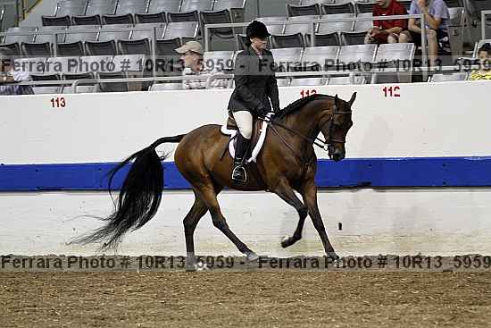Proof Number 10r13_5959