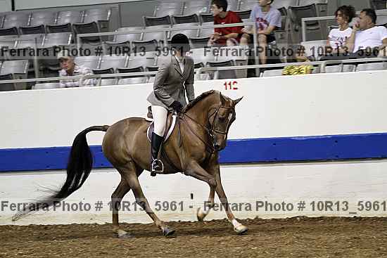 Proof Number 10r13_5961
