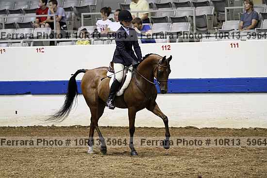 Proof Number 10r13_5964