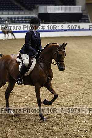 Proof Number 10r13_5979