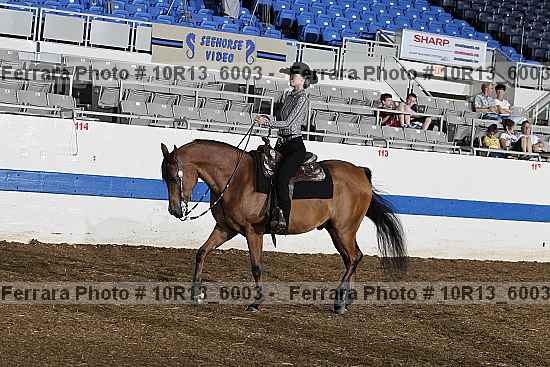 Proof Number 10r13_6003