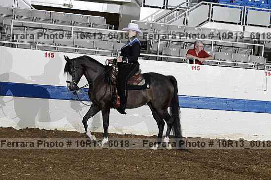 Proof Number 10r13_6018