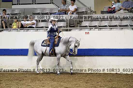 Proof Number 10r13_6023