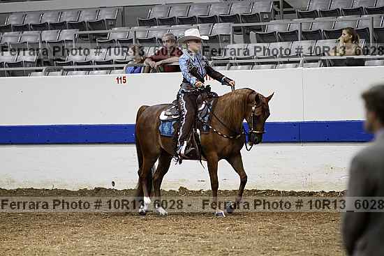 Proof Number 10r13_6028