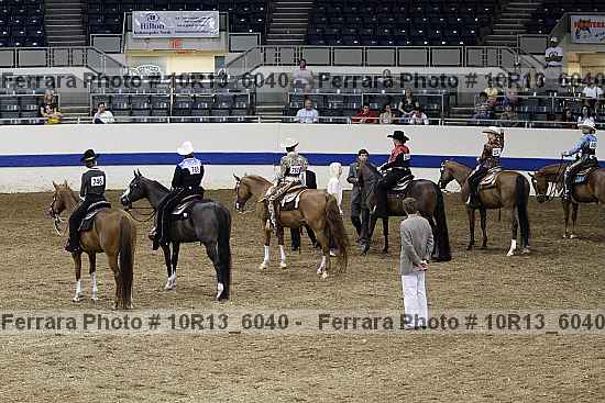 Proof Number 10r13_6040