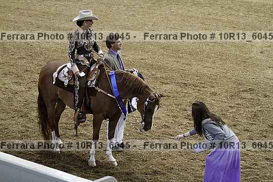 Proof Number 10r13_6045