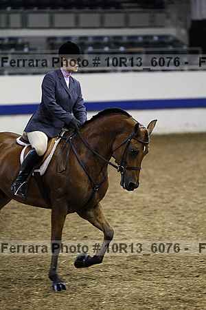 Proof Number 10r13_6076