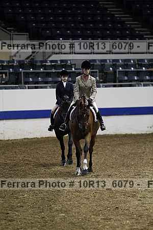 Proof Number 10r13_6079