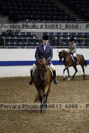 Proof Number 10r13_6086