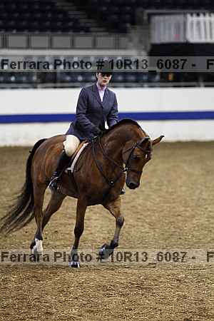 Proof Number 10r13_6087