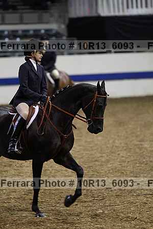 Proof Number 10r13_6093