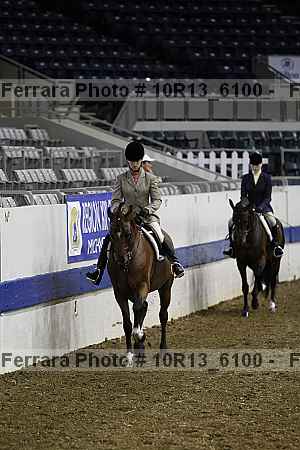 Proof Number 10r13_6100