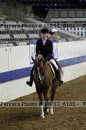 Proof Number 10r13_6106