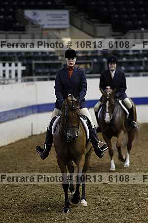 Proof Number 10r13_6108