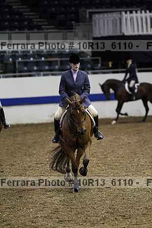 Proof Number 10r13_6110