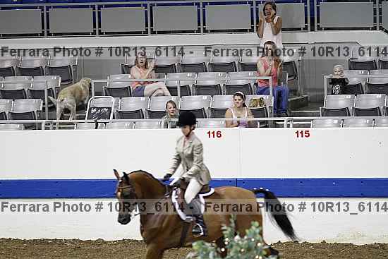 Proof Number 10r13_6114