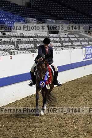 Proof Number 10r13_6140