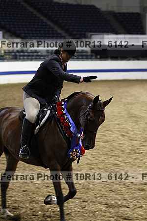 Proof Number 10r13_6142