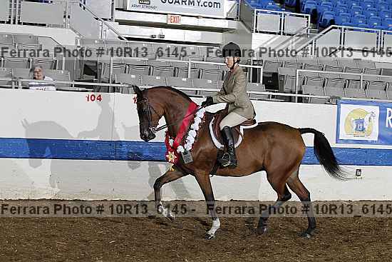 Proof Number 10r13_6145
