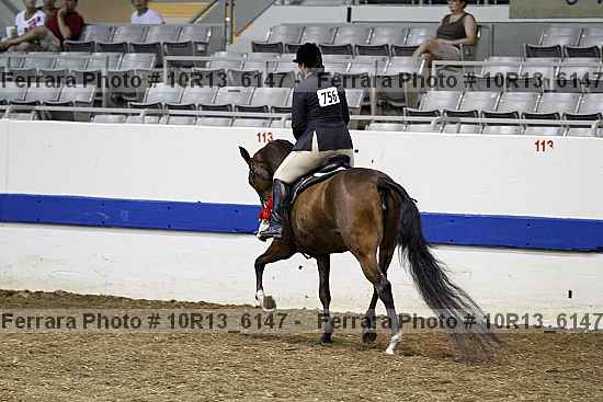 Proof Number 10r13_6147