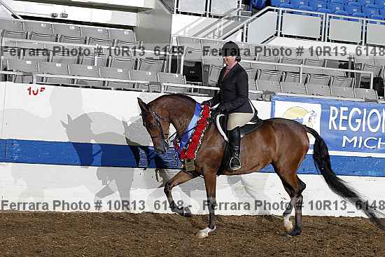 Proof Number 10r13_6148