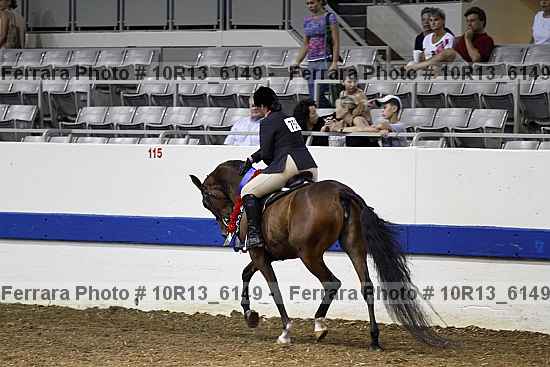 Proof Number 10r13_6149