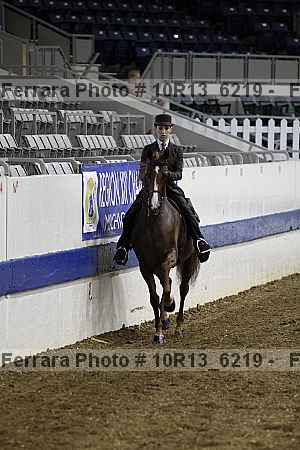 Proof Number 10r13_6219
