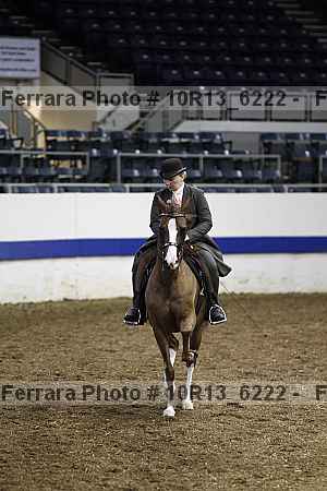 Proof Number 10r13_6222