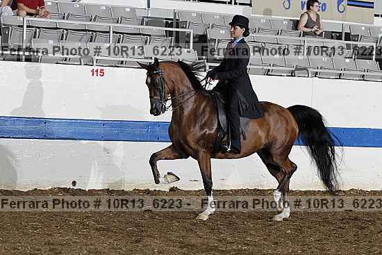 Proof Number 10r13_6223