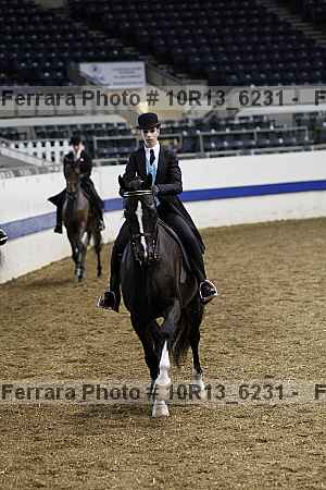 Proof Number 10r13_6231