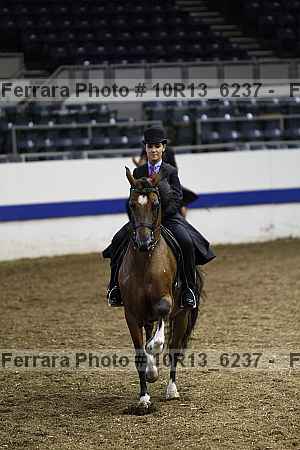 Proof Number 10r13_6237