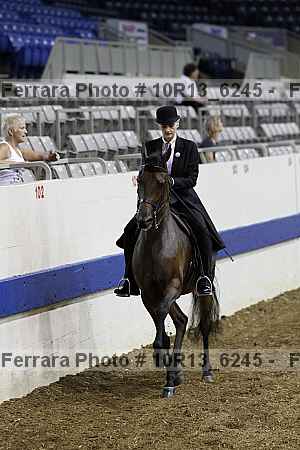 Proof Number 10r13_6245