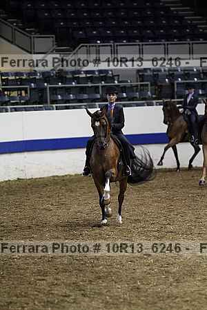 Proof Number 10r13_6246