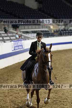 Proof Number 10r13_6247
